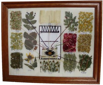 Picture of NAVAJO DYE CHART16X20