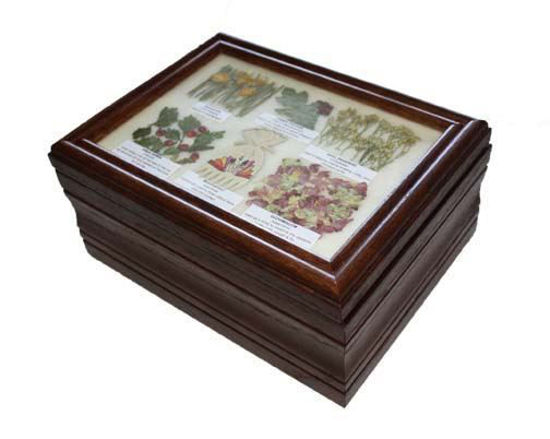 medicine box 1