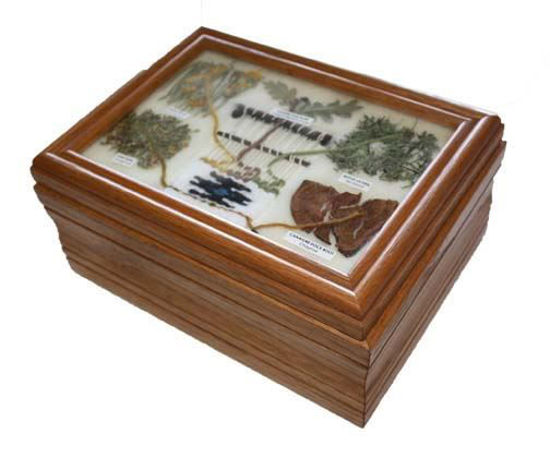 dye chart box 2aa