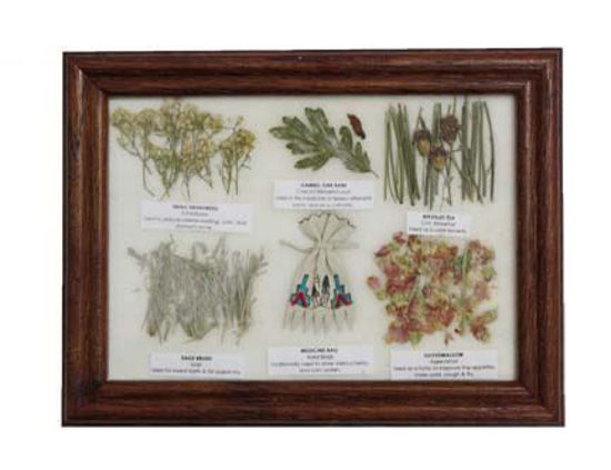medicine chart 1a