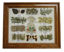 medicine chart 3a
