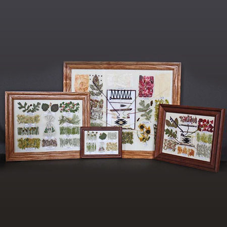 Picture for category Navajo Indian Dye & Medicine Charts